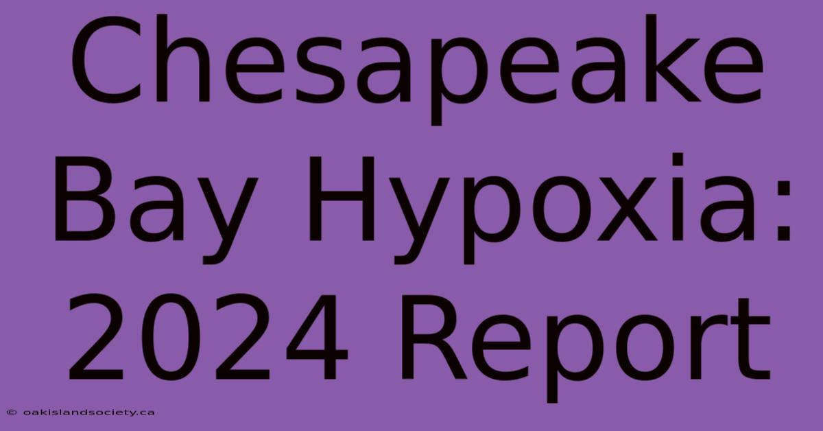 Chesapeake Bay Hypoxia: 2024 Report