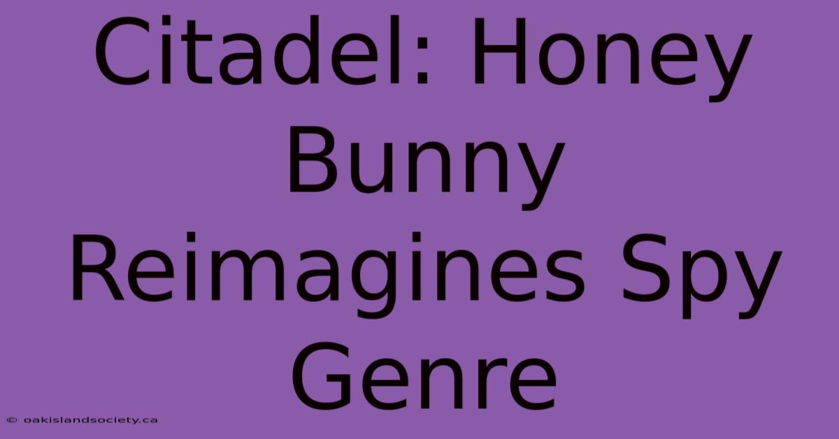 Citadel: Honey Bunny Reimagines Spy Genre