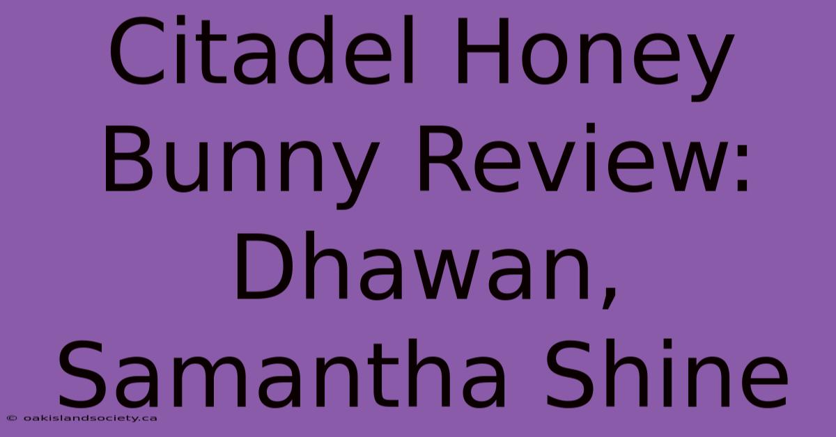 Citadel Honey Bunny Review: Dhawan, Samantha Shine