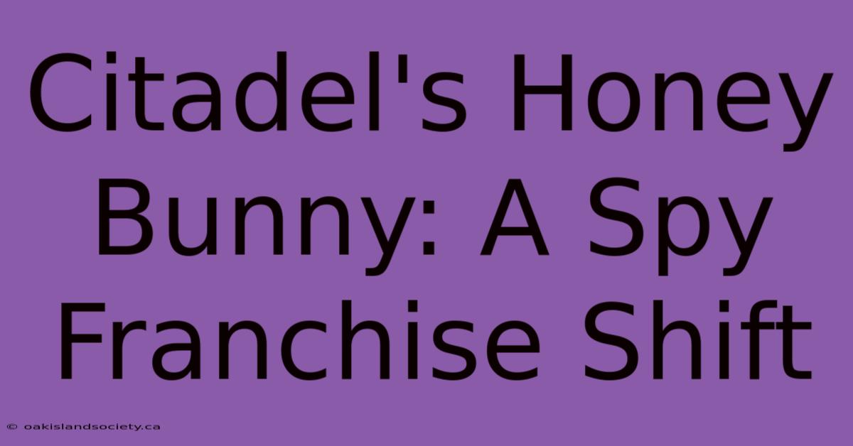 Citadel's Honey Bunny: A Spy Franchise Shift 