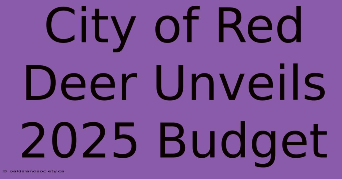 City Of Red Deer Unveils 2025 Budget 