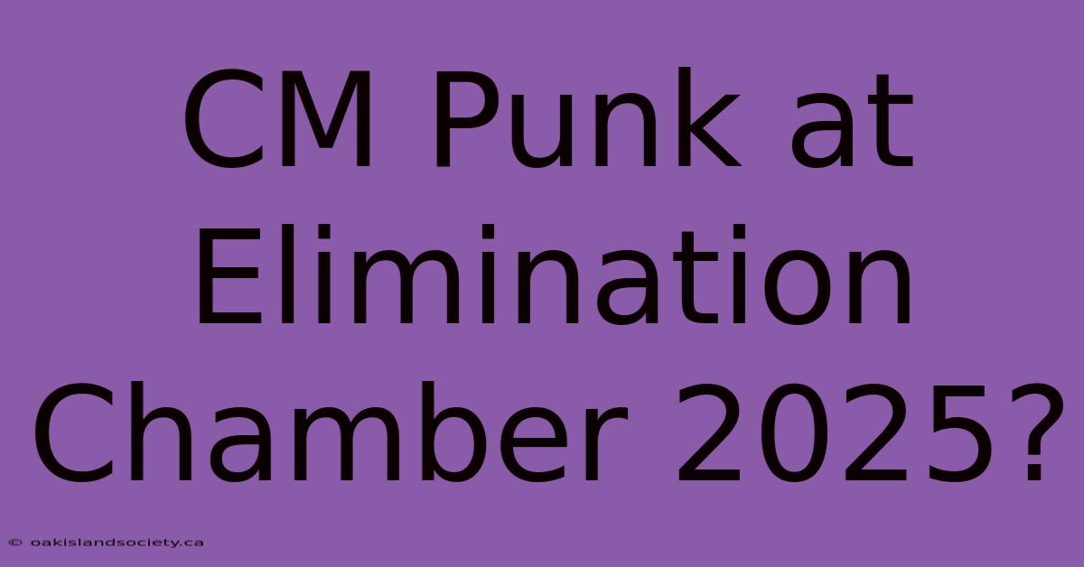 CM Punk At Elimination Chamber 2025?