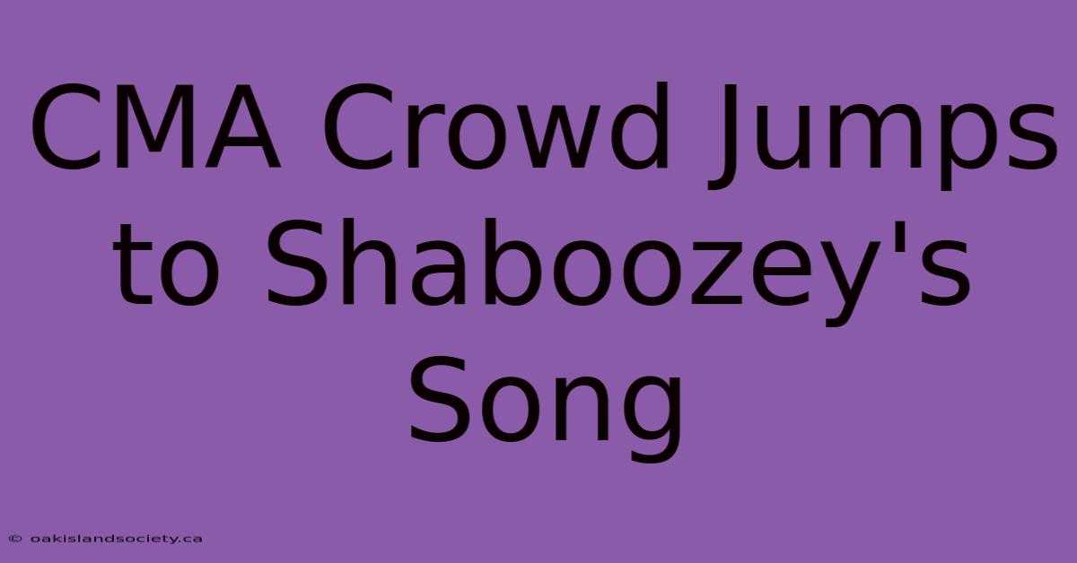 CMA Crowd Jumps To Shaboozey's Song