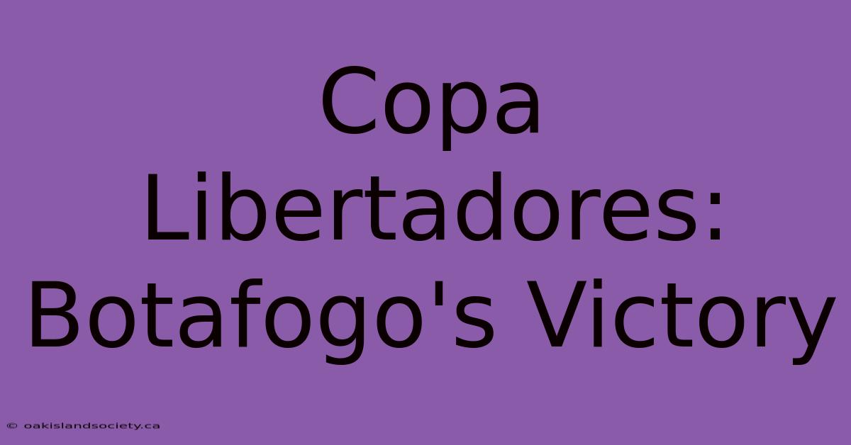 Copa Libertadores: Botafogo's Victory