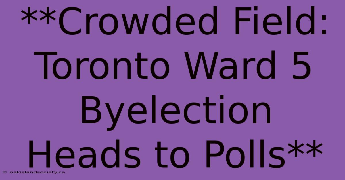 **Crowded Field: Toronto Ward 5 Byelection  Heads To Polls**