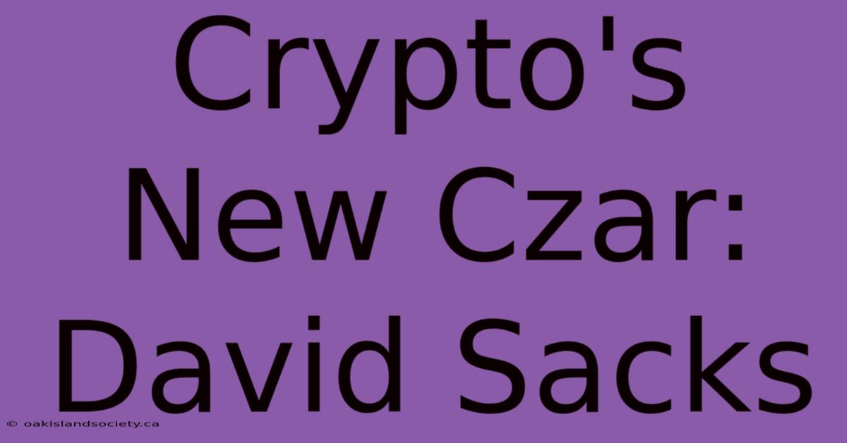 Crypto's New Czar: David Sacks