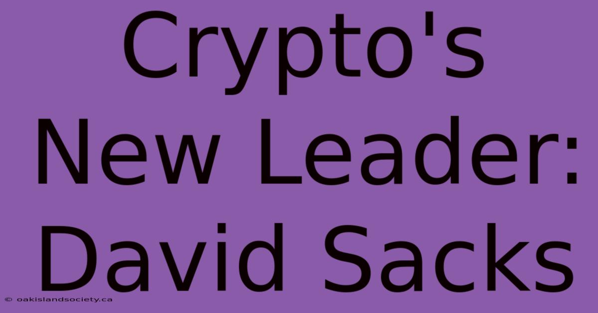 Crypto's New Leader: David Sacks