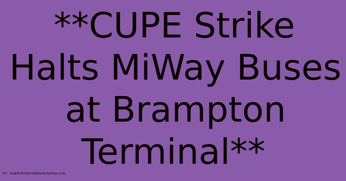 **CUPE Strike Halts MiWay Buses At Brampton Terminal**