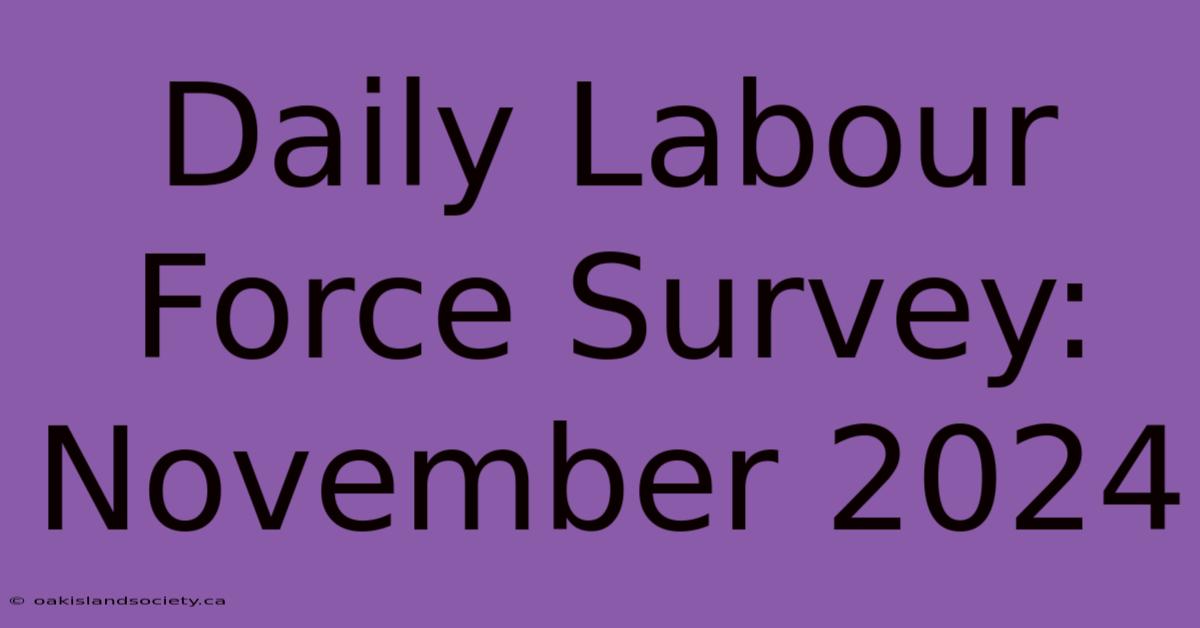 Daily Labour Force Survey: November 2024