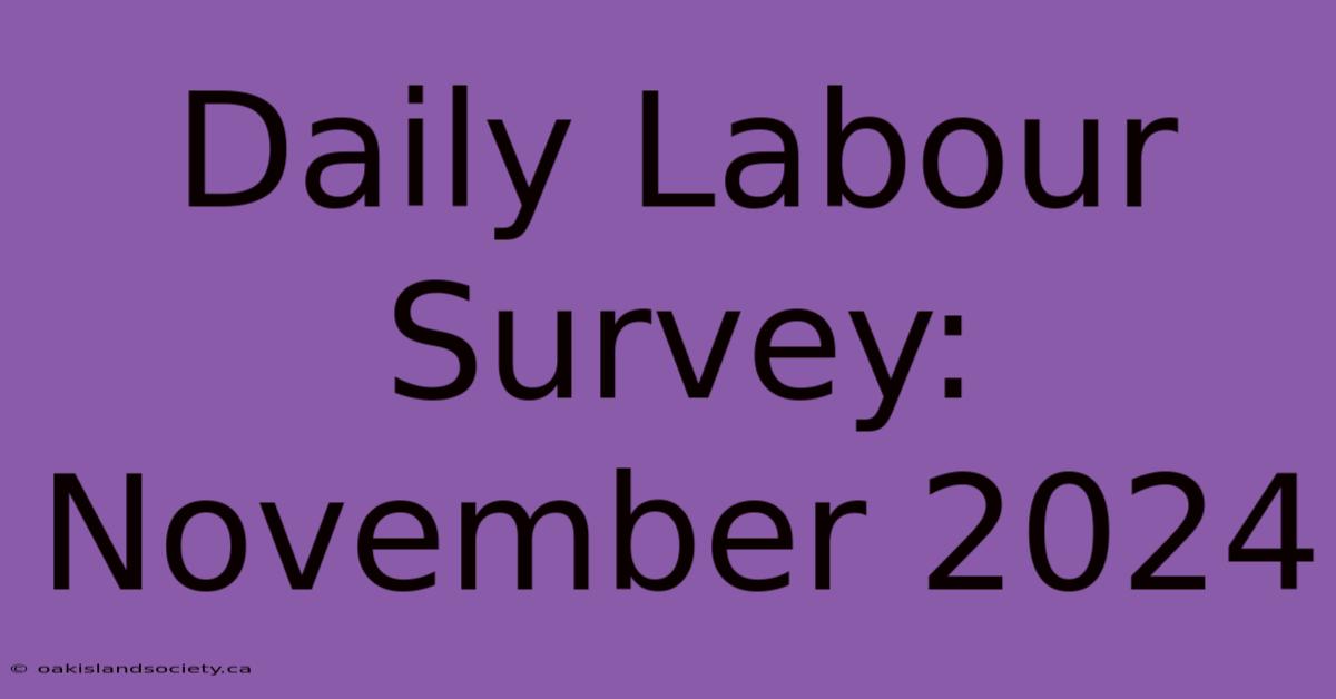 Daily Labour Survey: November 2024