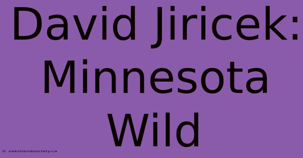 David Jiricek: Minnesota Wild