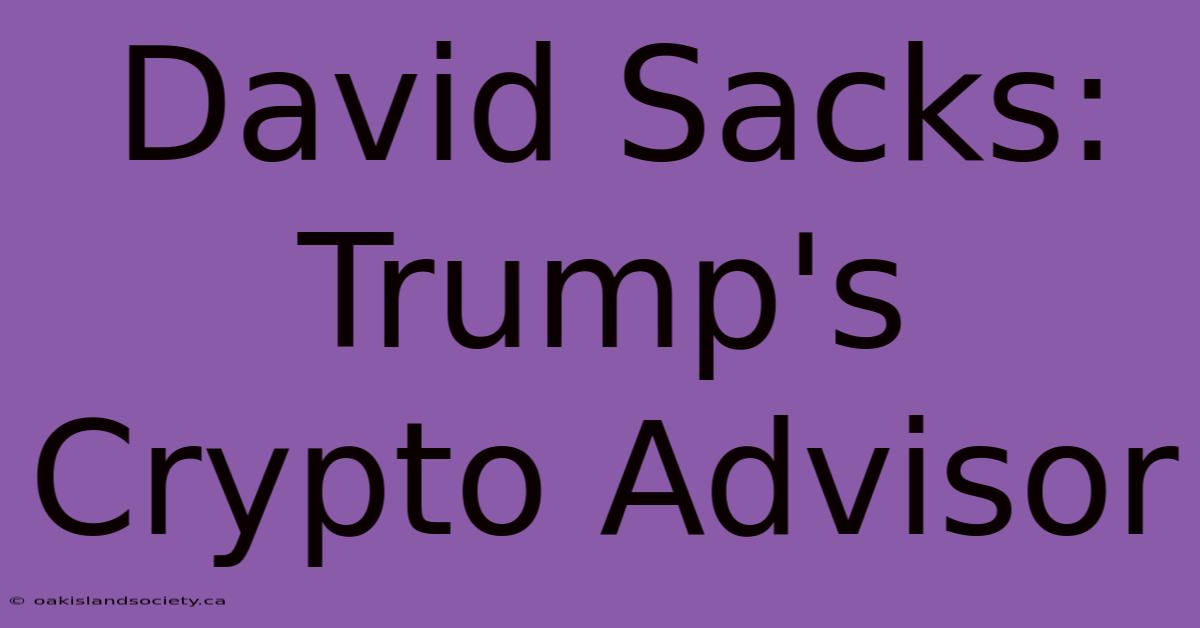 David Sacks: Trump's Crypto Advisor