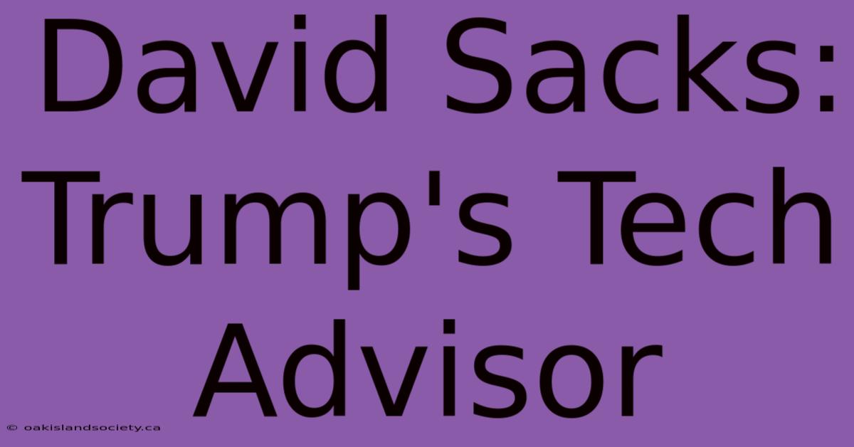 David Sacks: Trump's Tech Advisor