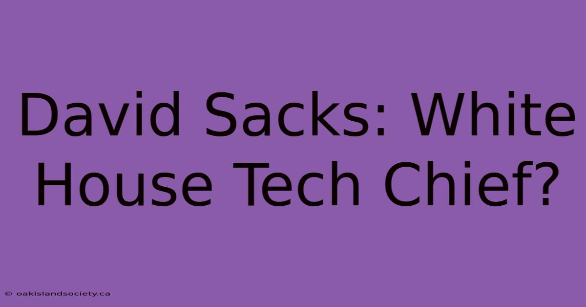 David Sacks: White House Tech Chief?