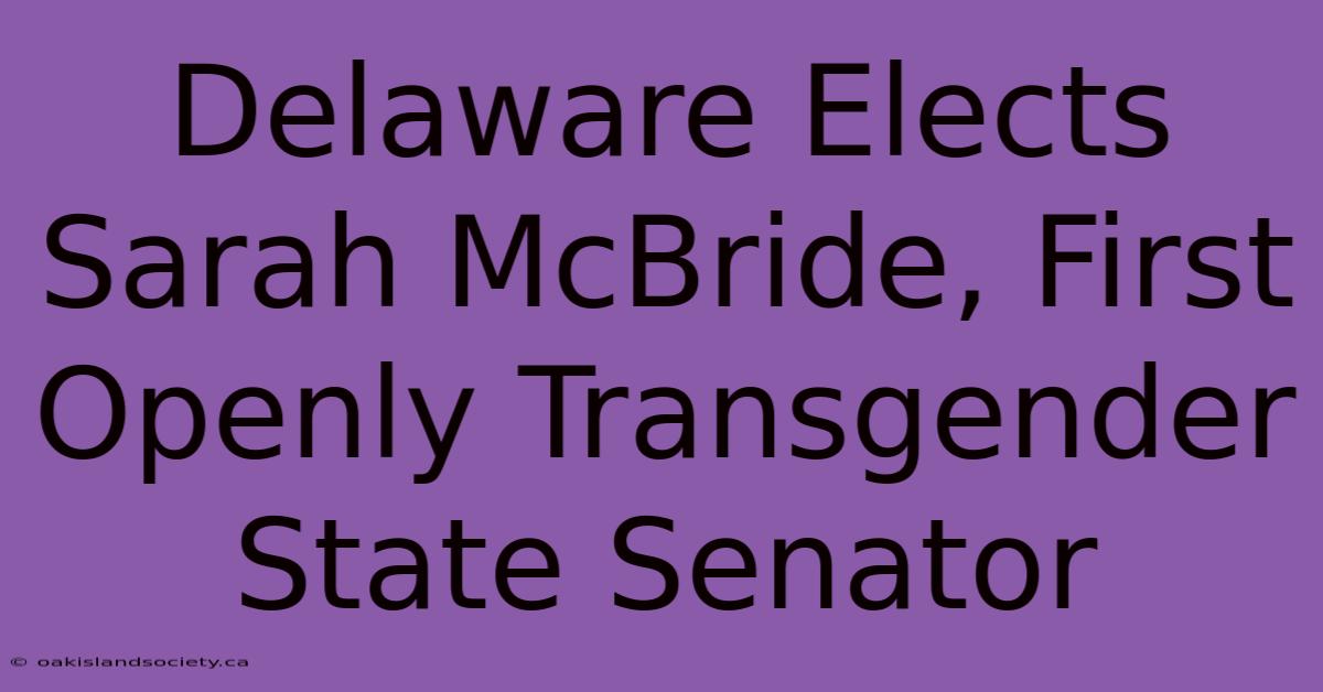 Delaware Elects Sarah McBride, First Openly Transgender State Senator 