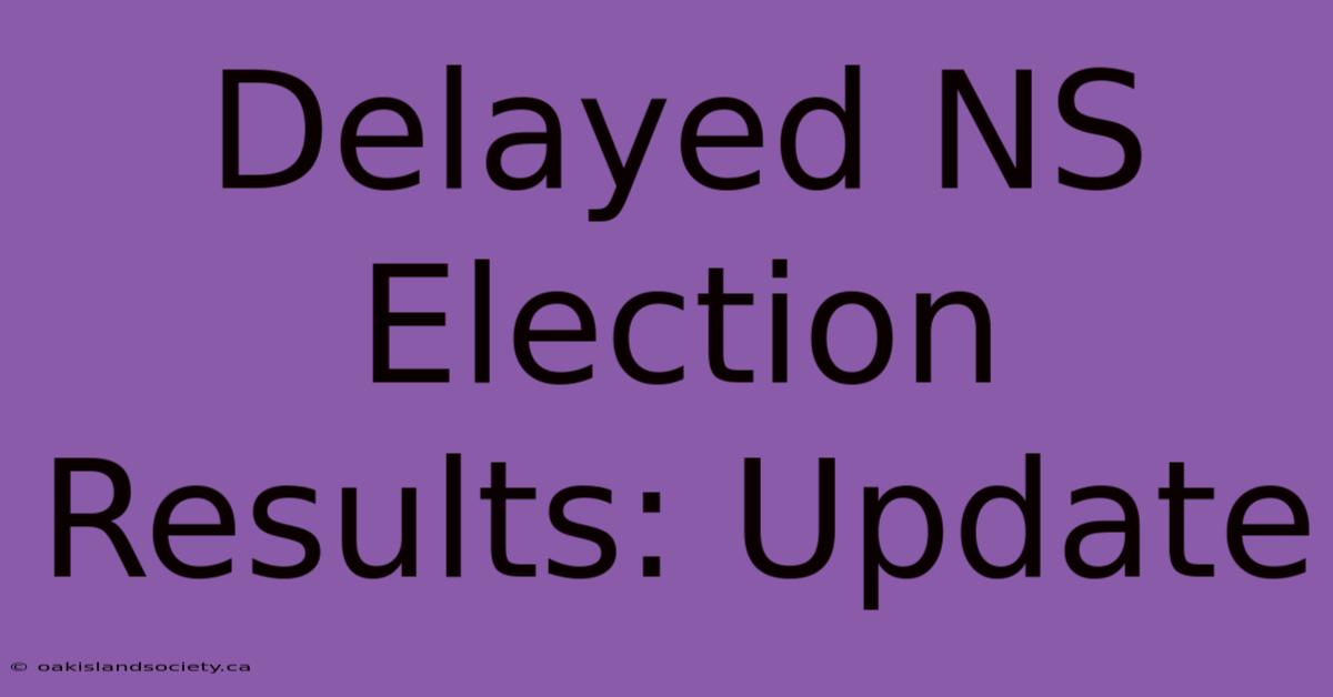 Delayed NS Election Results: Update