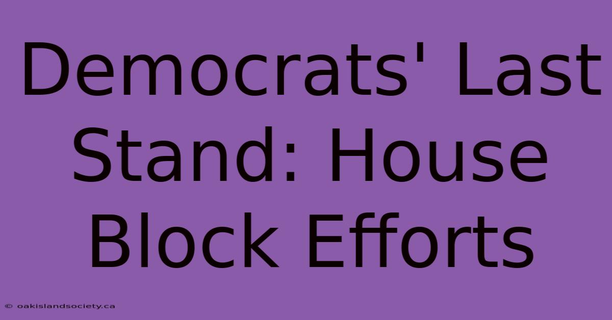 Democrats' Last Stand: House Block Efforts