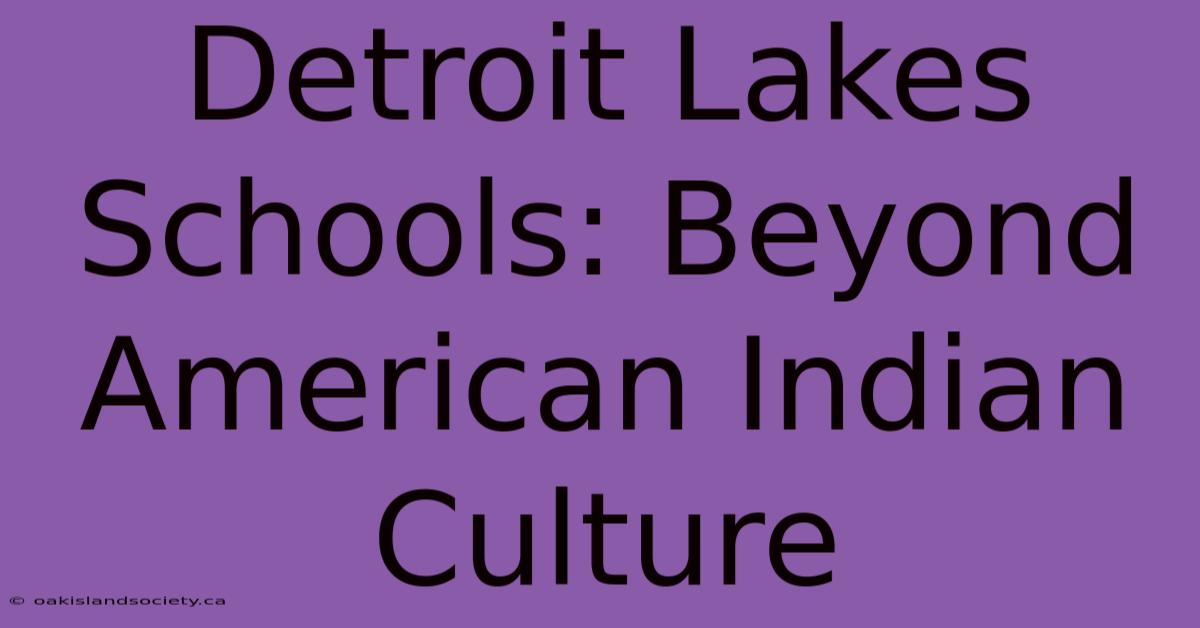 Detroit Lakes Schools: Beyond American Indian Culture