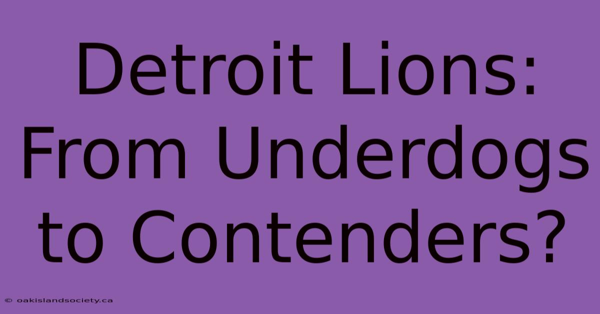 Detroit Lions: From Underdogs To Contenders?