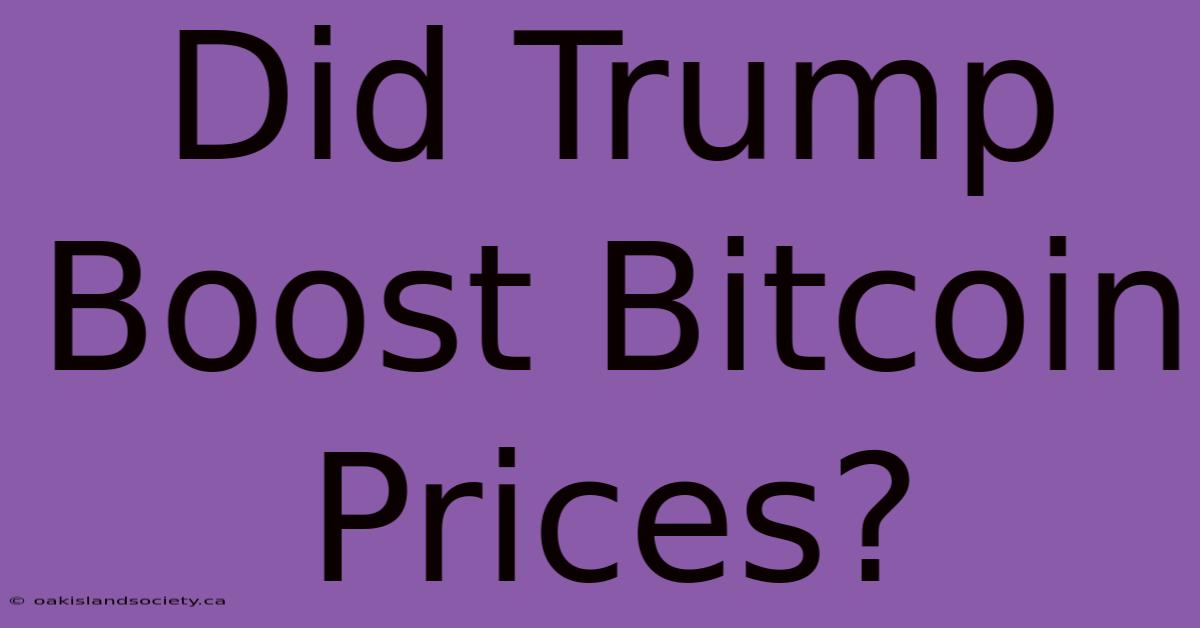 Did Trump Boost Bitcoin Prices? 