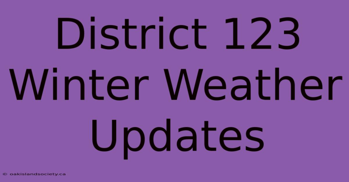 District 123 Winter Weather Updates