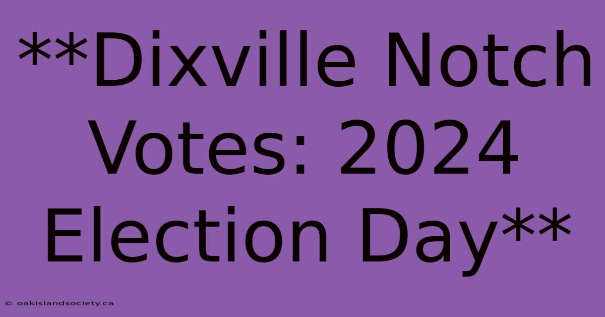 **Dixville Notch Votes: 2024 Election Day**