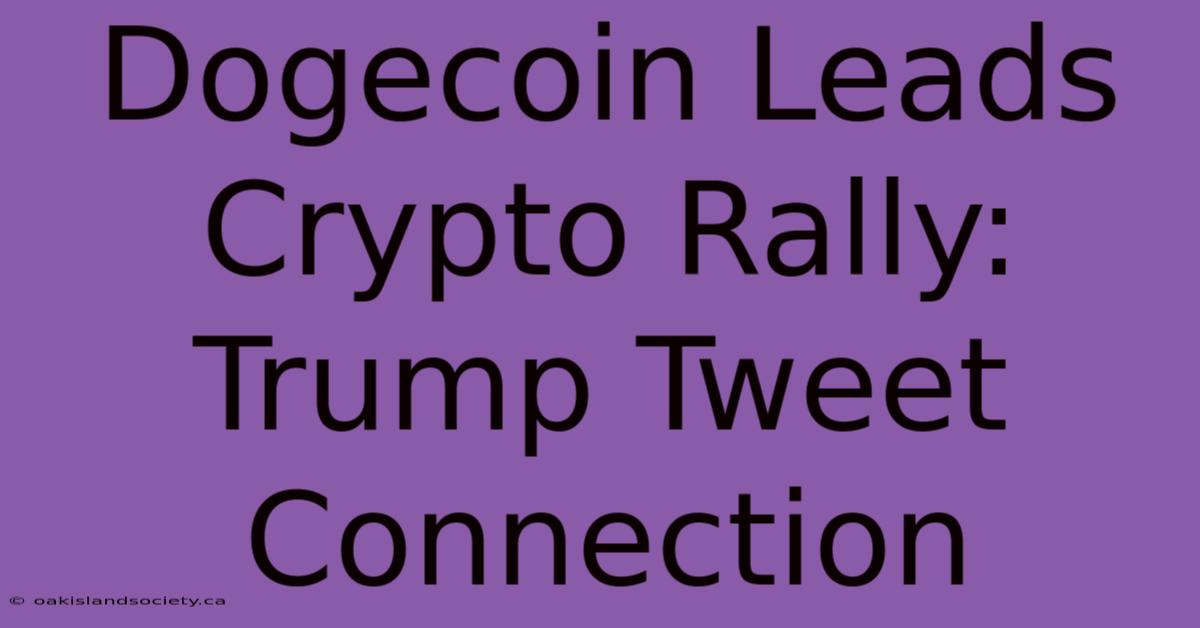 Dogecoin Leads Crypto Rally: Trump Tweet Connection