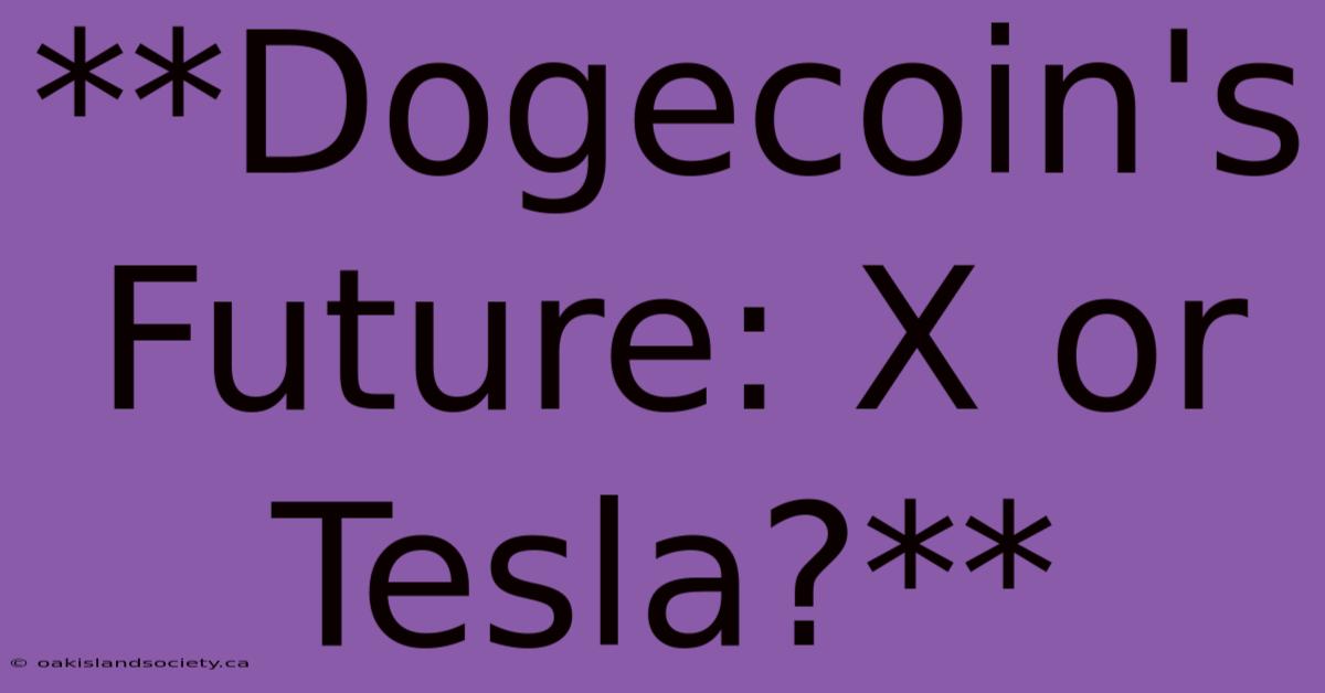 **Dogecoin's Future: X Or Tesla?**