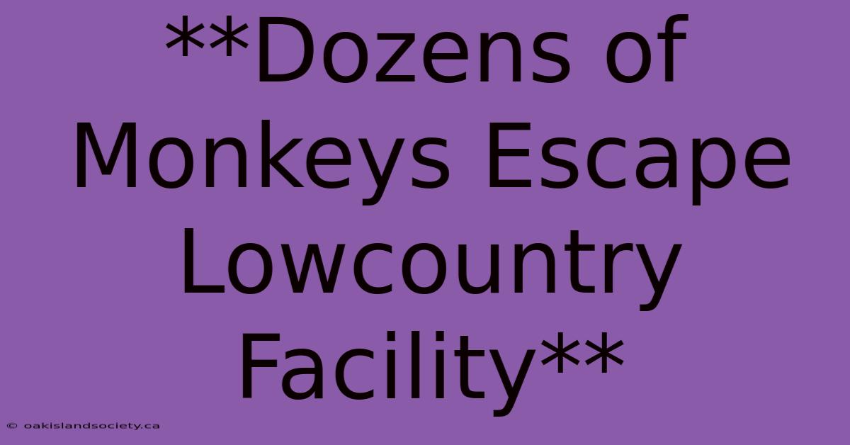 **Dozens Of Monkeys Escape Lowcountry Facility** 