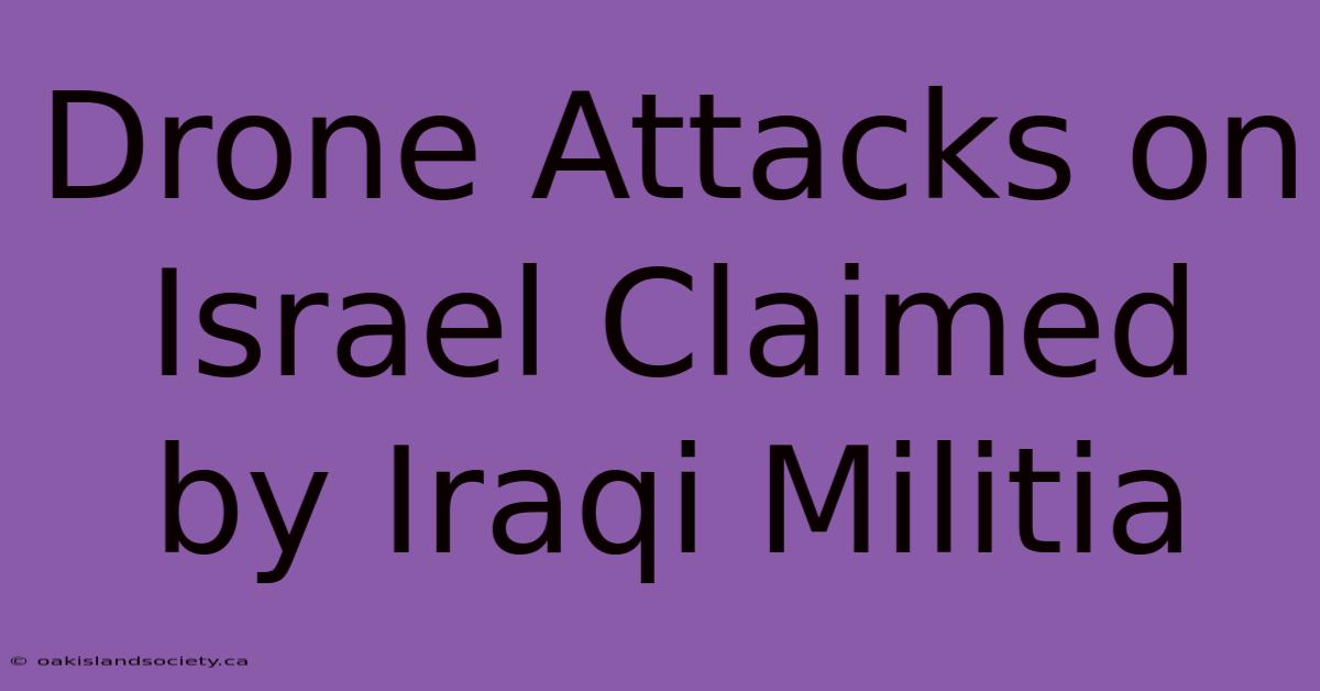 Drone Attacks On Israel Claimed By Iraqi Militia