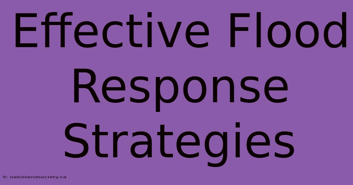 Effective Flood Response Strategies