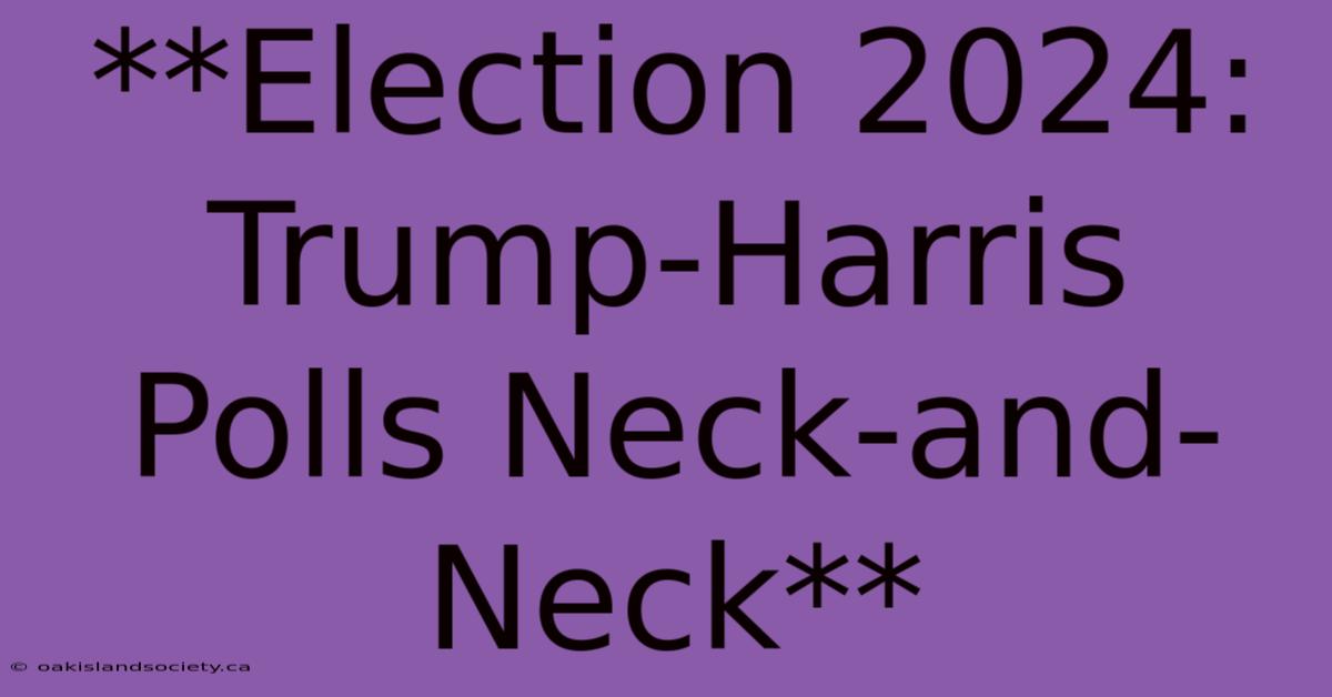 **Election 2024: Trump-Harris Polls Neck-and-Neck**