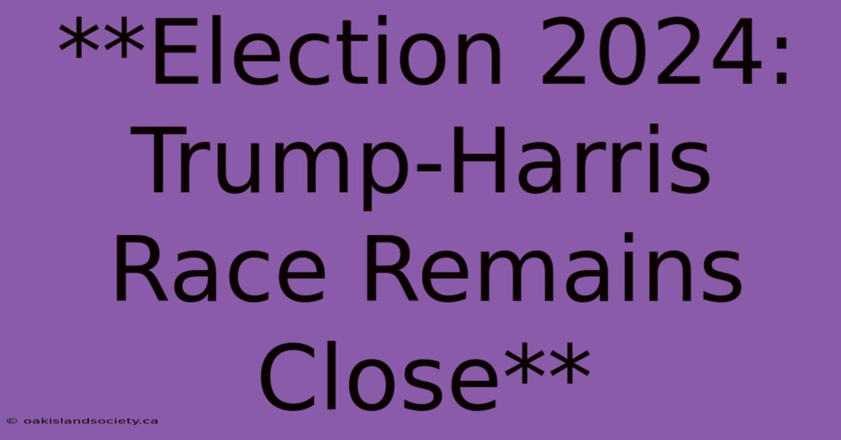 **Election 2024: Trump-Harris Race Remains Close**