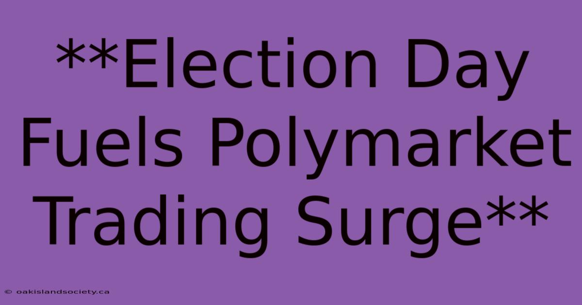 **Election Day Fuels Polymarket Trading Surge**