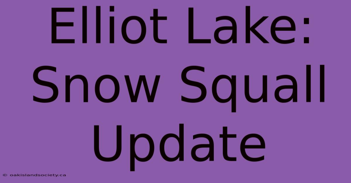 Elliot Lake: Snow Squall Update