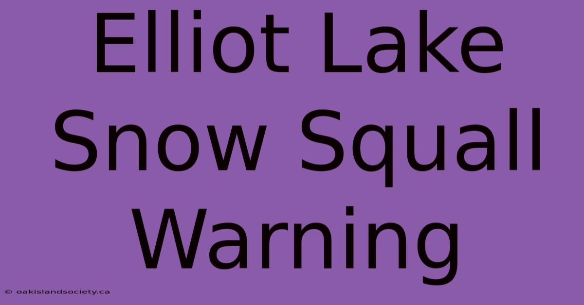 Elliot Lake Snow Squall Warning