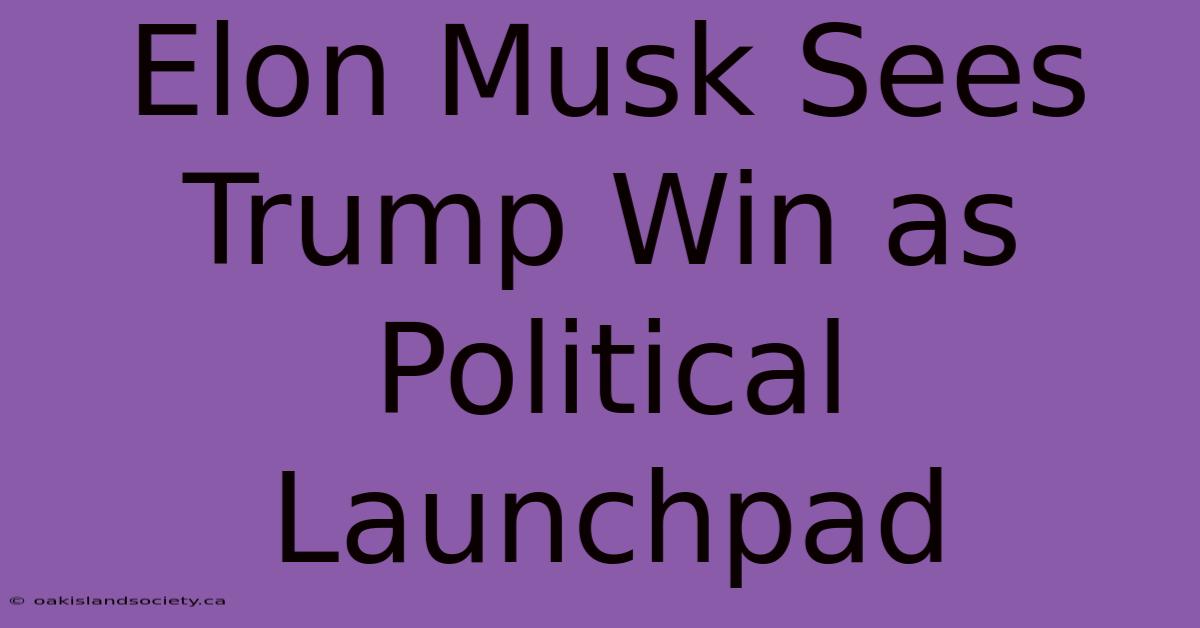 Elon Musk Sees Trump Win As Political Launchpad 