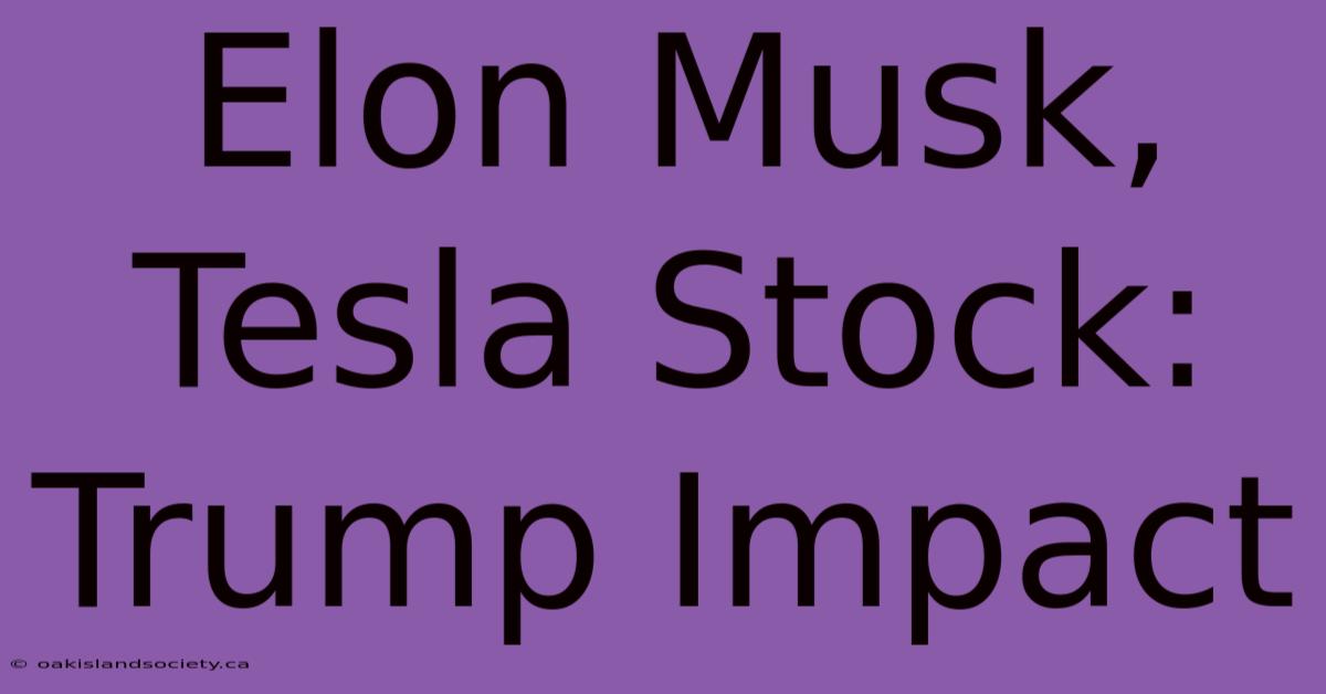 Elon Musk, Tesla Stock: Trump Impact