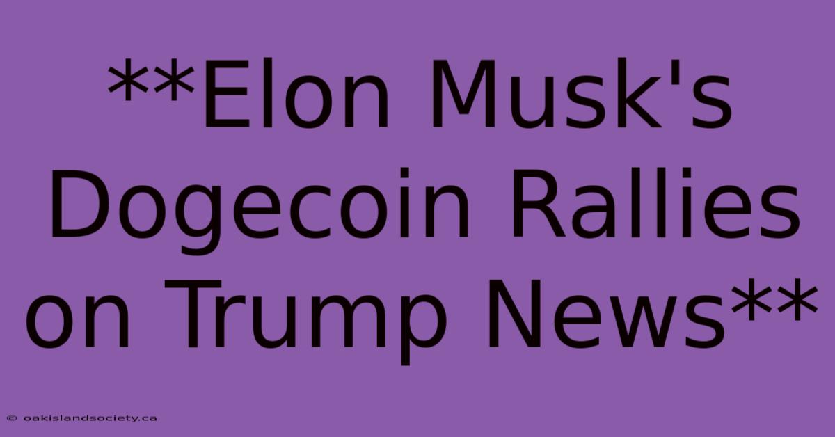 **Elon Musk's Dogecoin Rallies On Trump News**