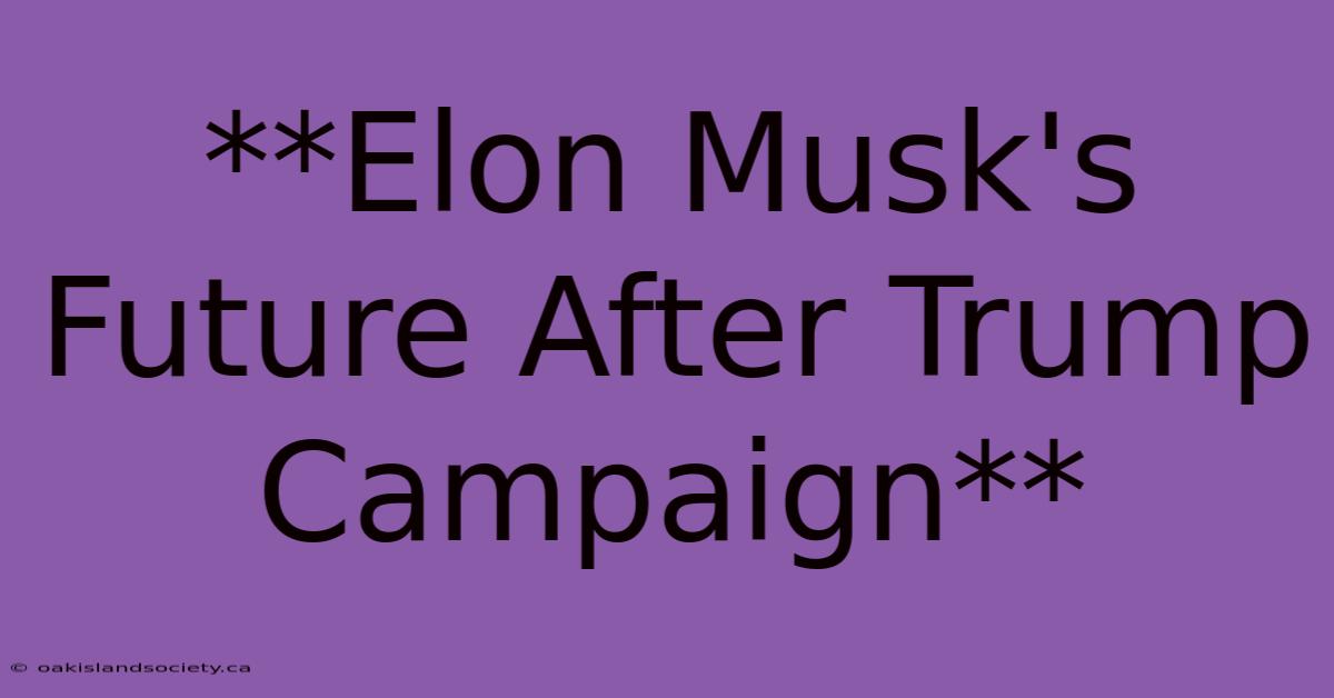 **Elon Musk's Future After Trump Campaign**