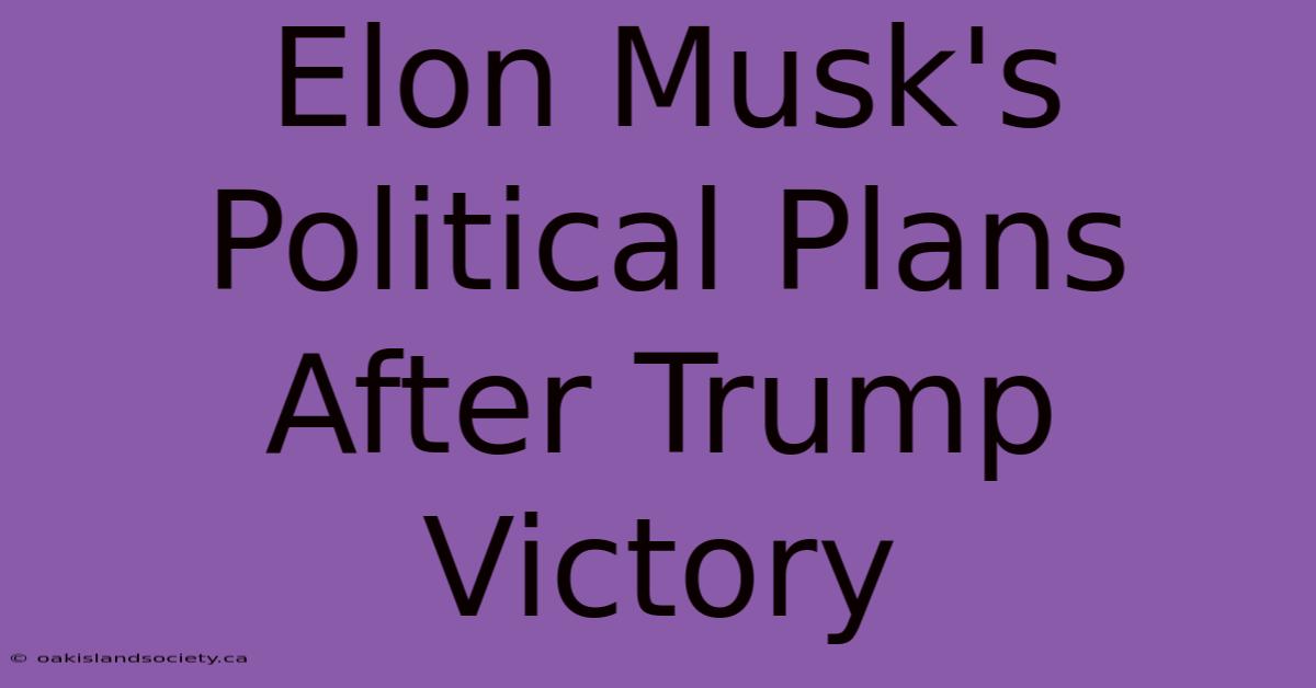 Elon Musk's Political Plans After Trump Victory 