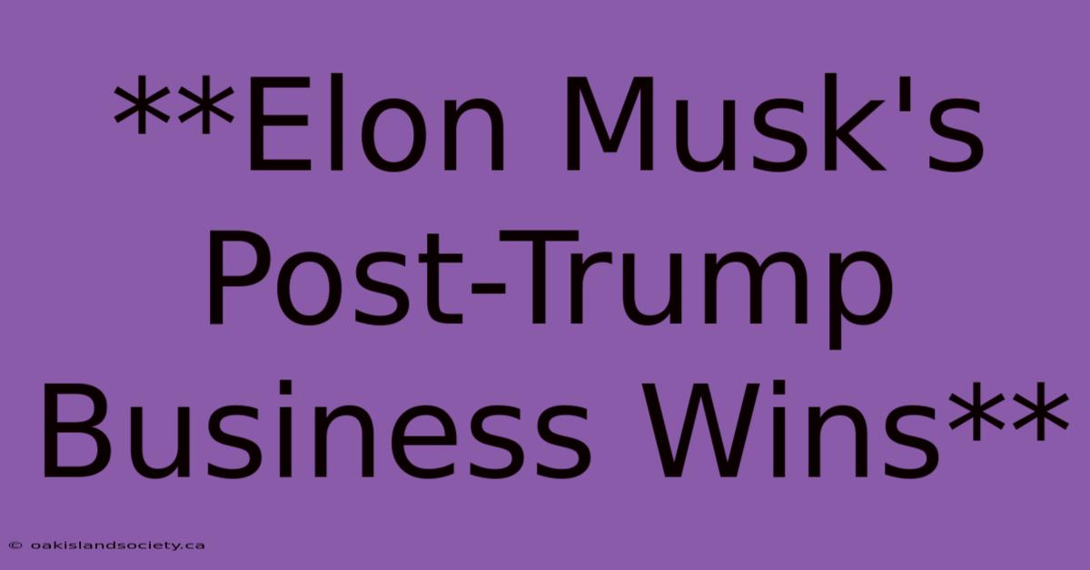 **Elon Musk's Post-Trump Business Wins** 