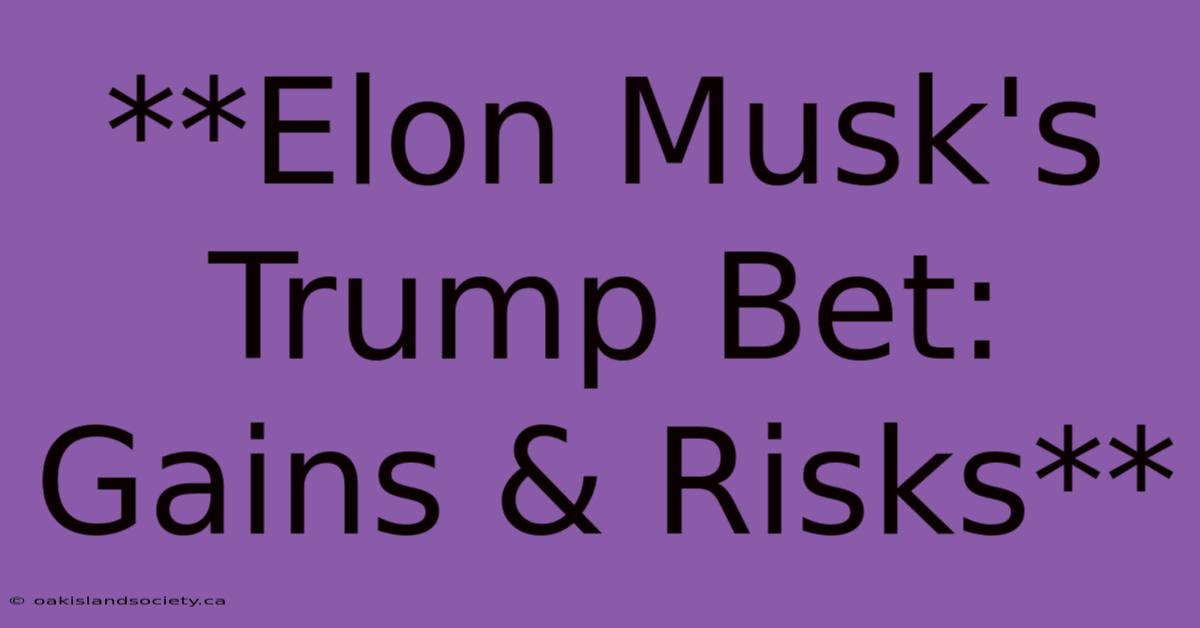 **Elon Musk's Trump Bet: Gains & Risks** 