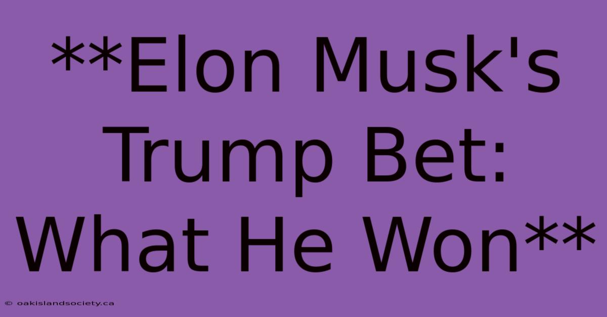 **Elon Musk's Trump Bet: What He Won** 