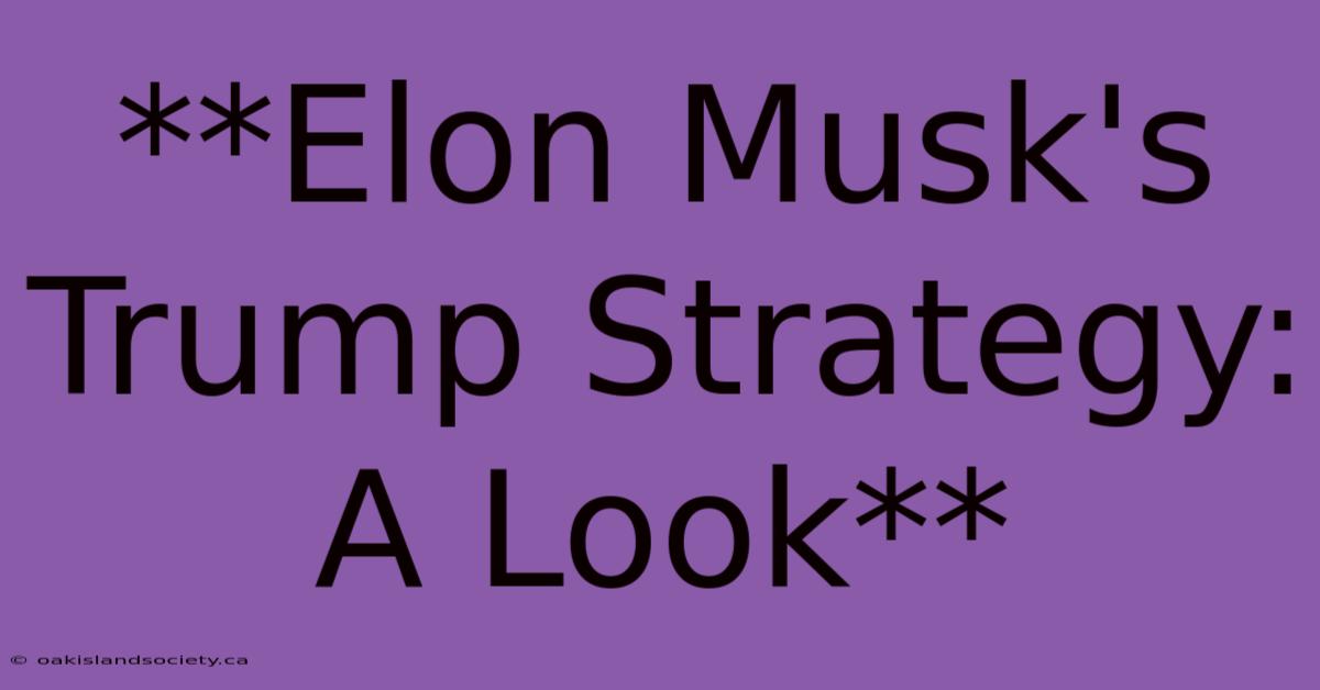 **Elon Musk's Trump Strategy:  A Look** 