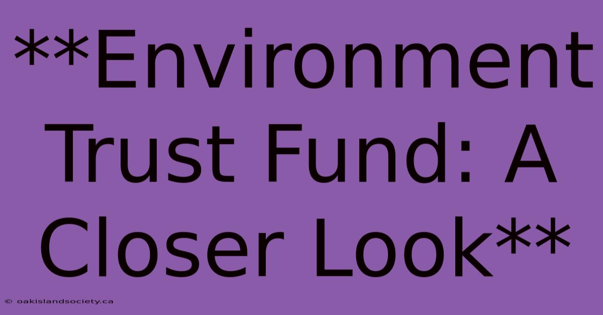 **Environment Trust Fund: A Closer Look** 