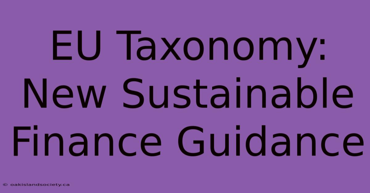 EU Taxonomy: New Sustainable Finance Guidance