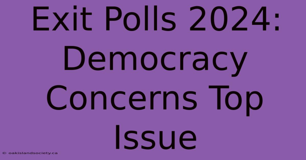 Exit Polls 2024: Democracy Concerns Top Issue