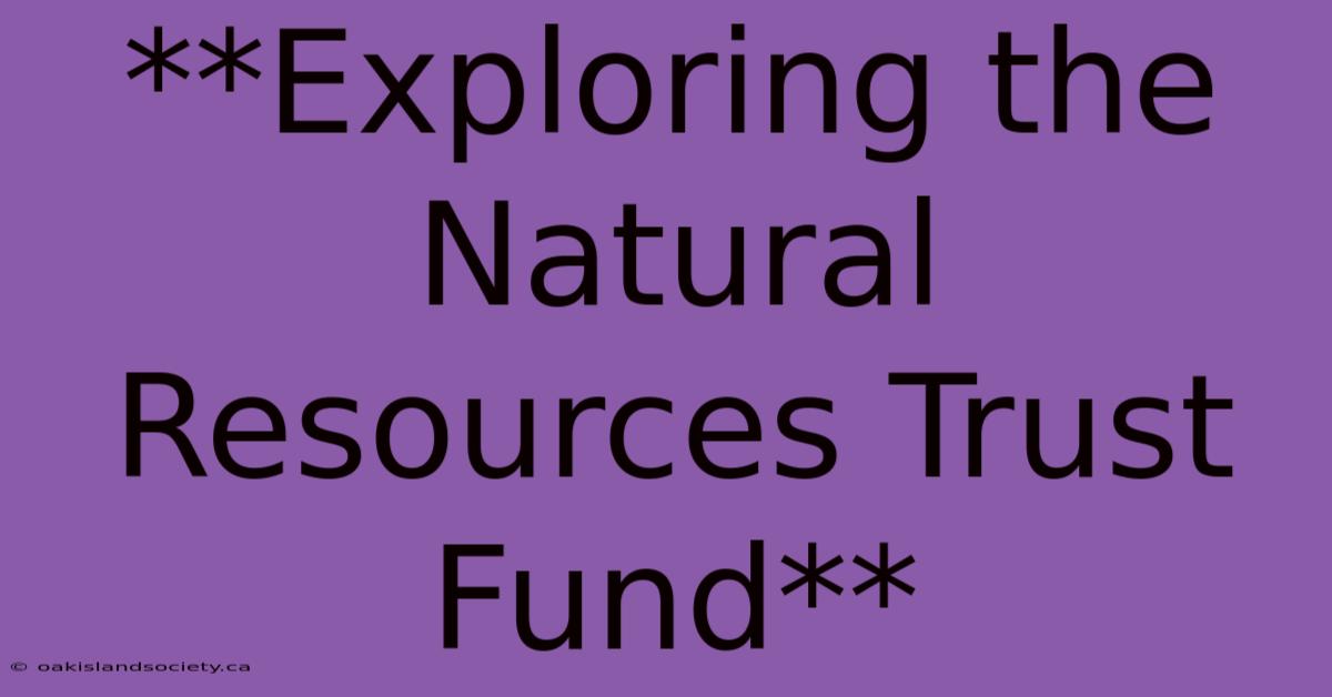 **Exploring The Natural Resources Trust Fund**