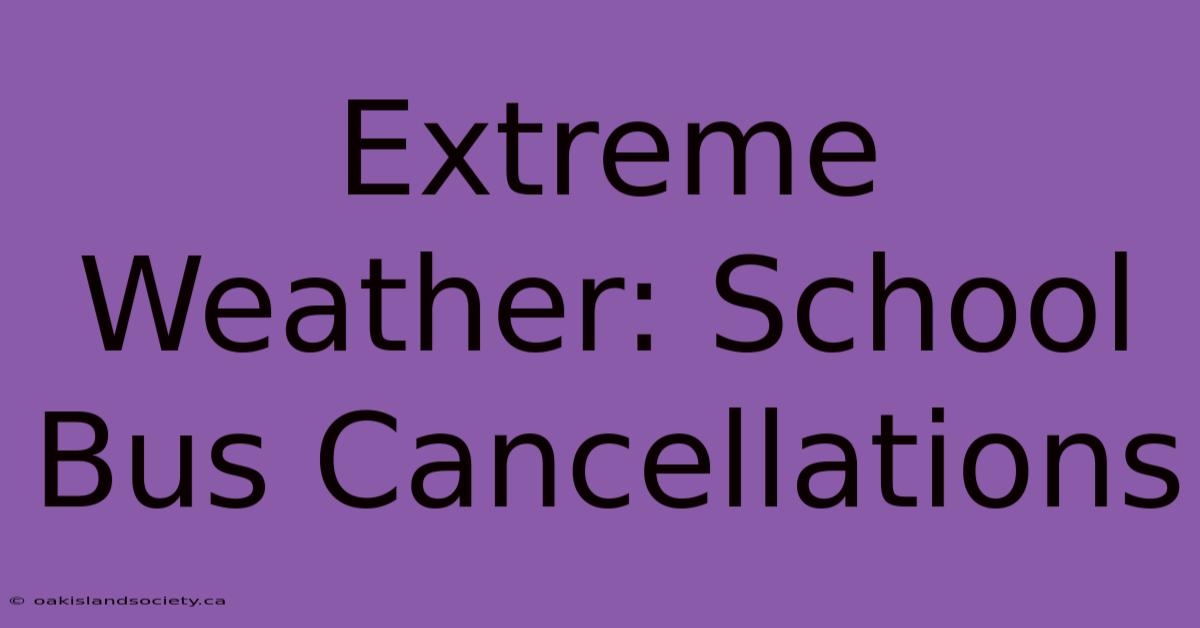 Extreme Weather: School Bus Cancellations